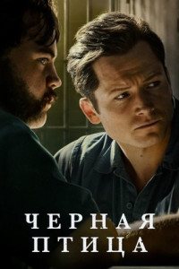 Черная птица (сериал)